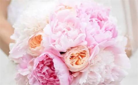 2025年农历九月二十领证日子如何 今日登记领证好吗