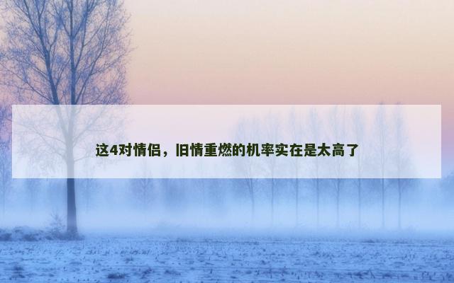 这4对情侣，旧情重燃的机率实在是太高了