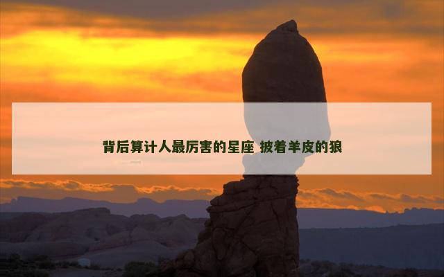 背后算计人最厉害的星座 披着羊皮的狼