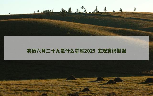 农历六月二十九是什么星座2025 主观意识很强