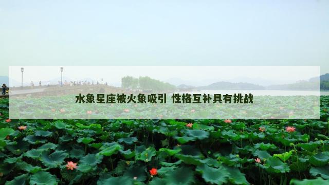 水象星座被火象吸引 性格互补具有挑战