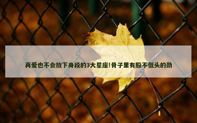再爱也不会放下身段的3大星座!骨子里有股不低头的劲