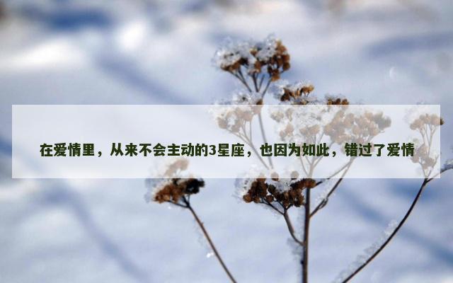 在爱情里，从来不会主动的3星座，也因为如此，错过了爱情