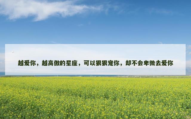 越爱你，越高傲的星座，可以狠狠宠你，却不会卑微去爱你