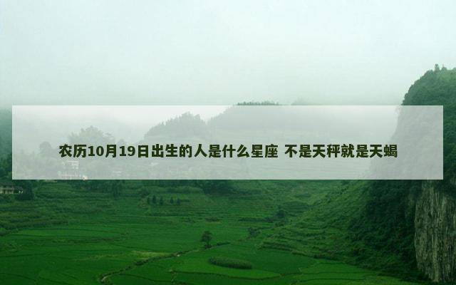 农历10月19日出生的人是什么星座 不是天秤就是天蝎