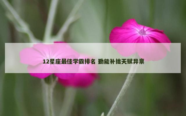 12星座最佳学霸排名 勤能补拙天赋异禀