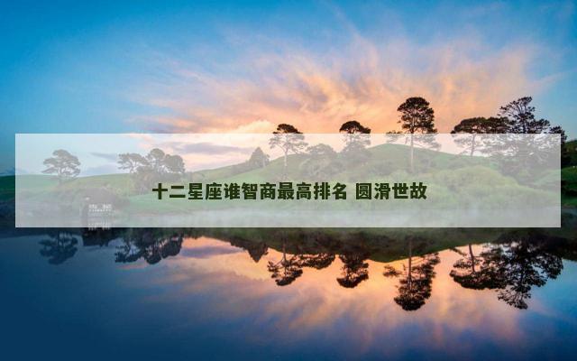 十二星座谁智商最高排名 圆滑世故