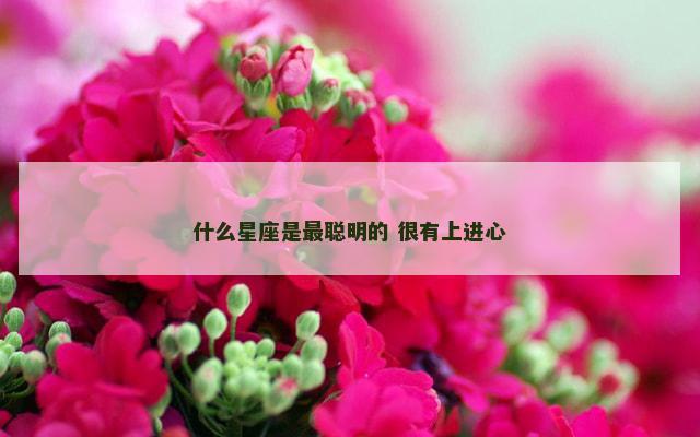 什么星座是最聪明的 很有上进心