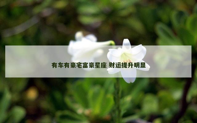 有车有豪宅富豪星座 财运提升明显