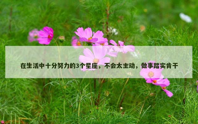 在生活中十分努力的3个星座，不会太主动，做事踏实肯干