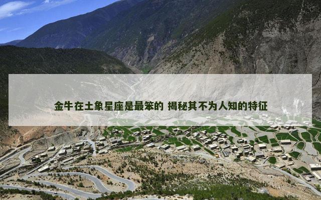 金牛在土象星座是最笨的 揭秘其不为人知的特征