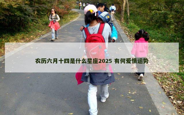 农历六月十四是什么星座2025 有何爱情运势
