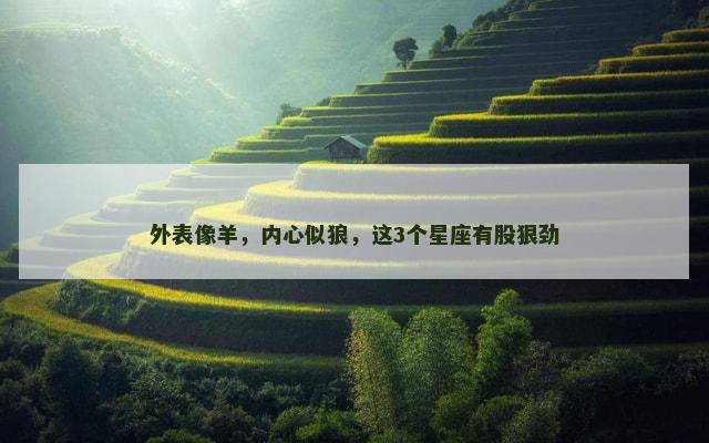 外表像羊，内心似狼，这3个星座有股狠劲
