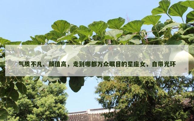 气质不凡、颜值高，走到哪都万众瞩目的星座女，自带光环
