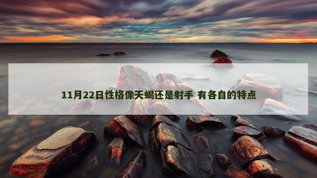 11月22日性格像天蝎还是射手 有各自的特点