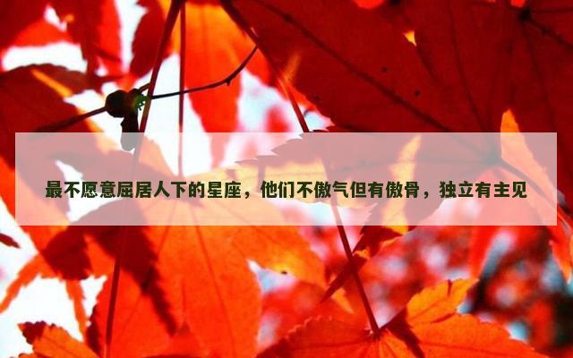最不愿意屈居人下的星座，他们不傲气但有傲骨，独立有主见