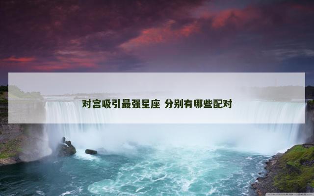 对宫吸引最强星座 分别有哪些配对