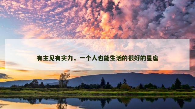 有主见有实力，一个人也能生活的很好的星座