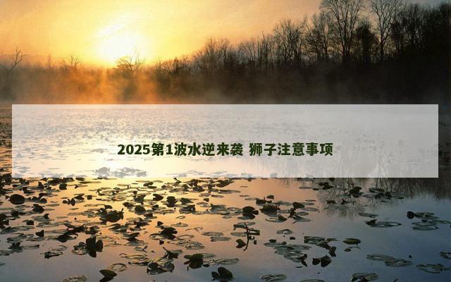 2025第1波水逆来袭 狮子注意事项