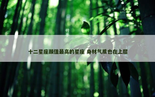 十二星座颜值最高的星座 身材气质也在上层