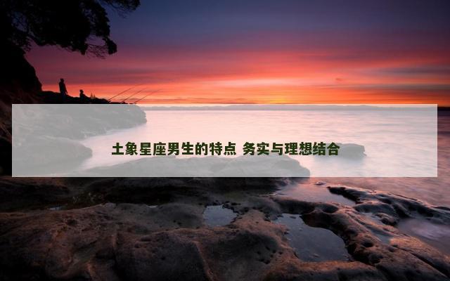 土象星座男生的特点 务实与理想结合