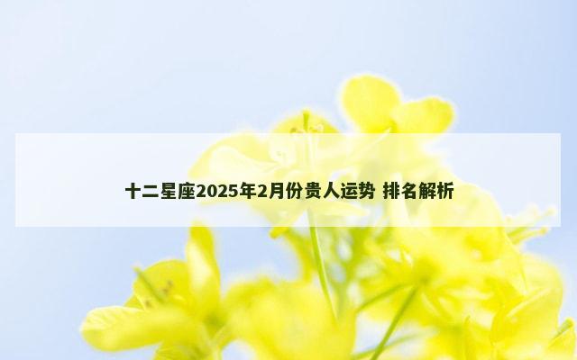 十二星座2025年2月份贵人运势 排名解析
