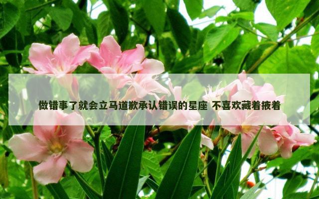 做错事了就会立马道歉承认错误的星座 不喜欢藏着掖着