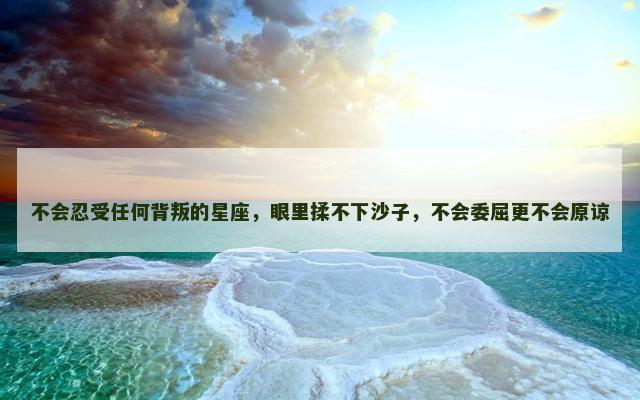 不会忍受任何背叛的星座，眼里揉不下沙子，不会委屈更不会原谅