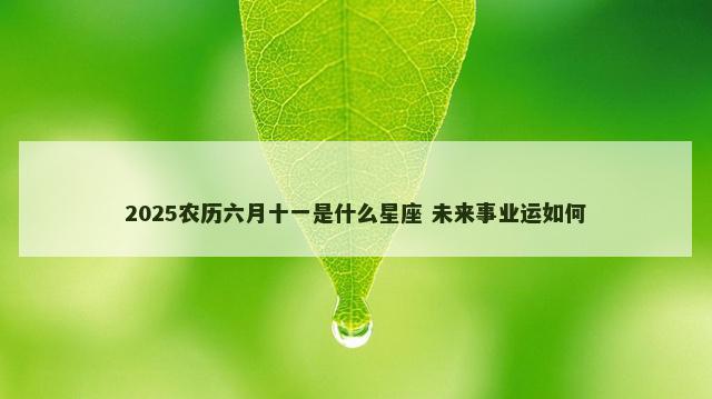 2025农历六月十一是什么星座 未来事业运如何