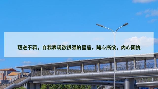 叛逆不羁，自我表现欲很强的星座，随心所欲，内心固执