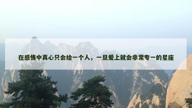 在感情中真心只会给一个人，一旦爱上就会非常专一的星座
