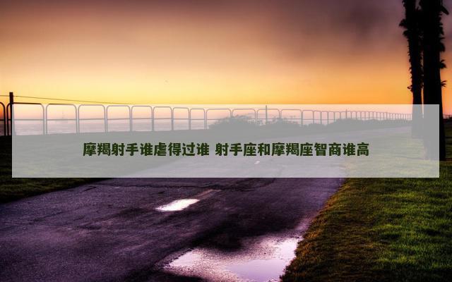 摩羯射手谁虐得过谁 射手座和摩羯座智商谁高