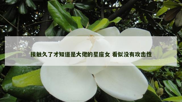 接触久了才知道是大佬的星座女 看似没有攻击性