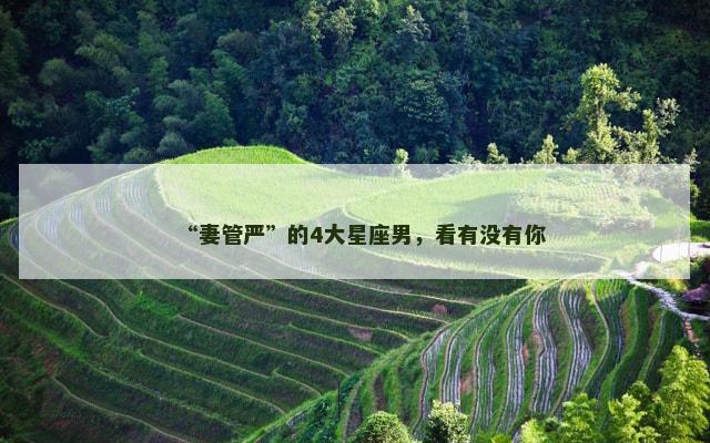 “妻管严”的4大星座男，看有没有你
