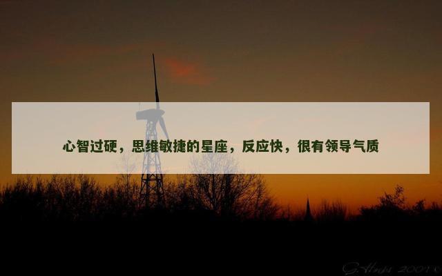 心智过硬，思维敏捷的星座，反应快，很有领导气质