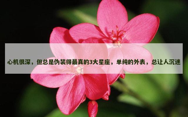 心机很深，但总是伪装得最真的3大星座，单纯的外表，总让人沉迷