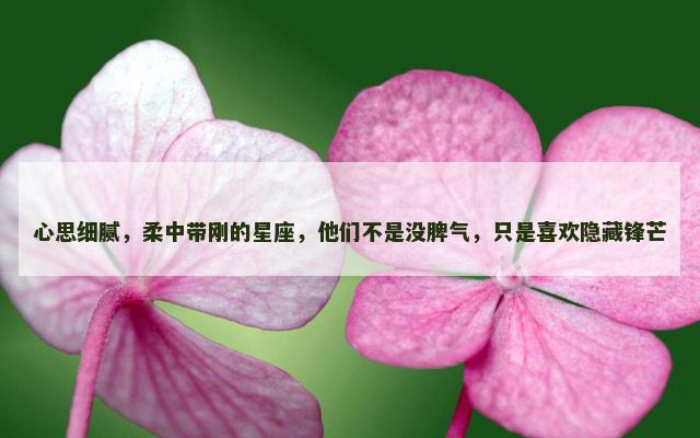 心思细腻，柔中带刚的星座，他们不是没脾气，只是喜欢隐藏锋芒