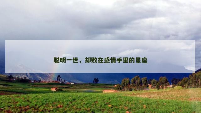 聪明一世，却败在感情手里的星座
