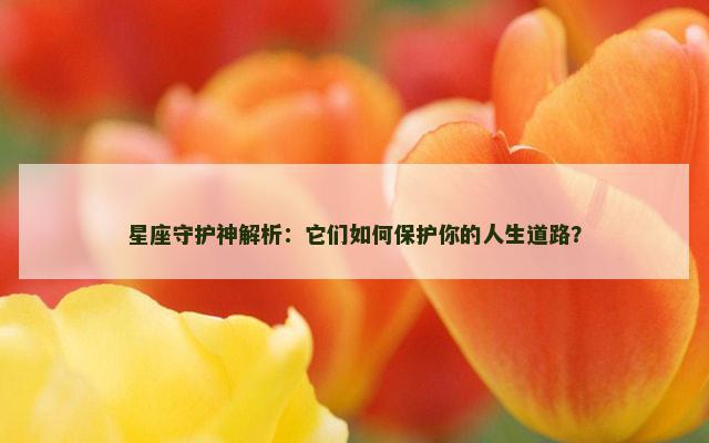 星座守护神解析：它们如何保护你的人生道路？