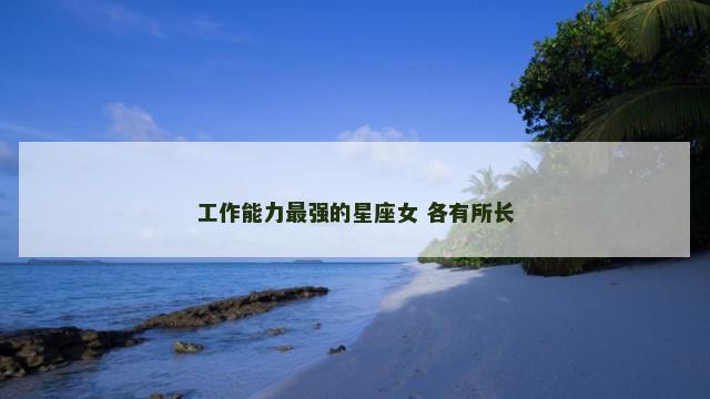 工作能力最强的星座女 各有所长