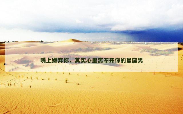 嘴上嫌弃你，其实心里离不开你的星座男