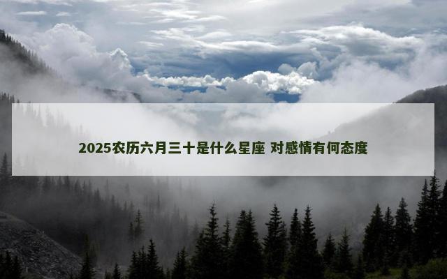 2025农历六月三十是什么星座 对感情有何态度