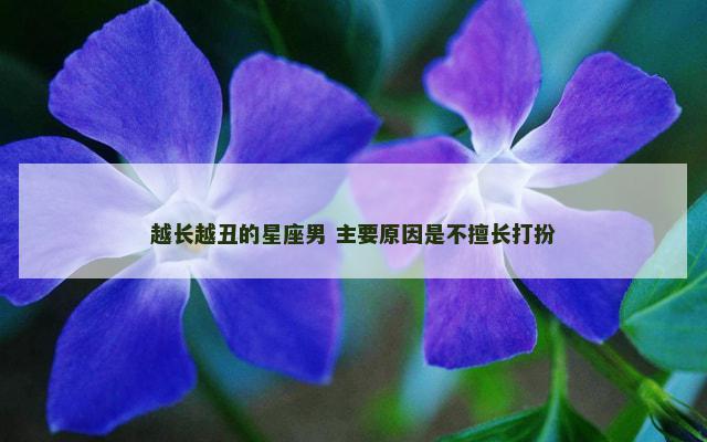 越长越丑的星座男 主要原因是不擅长打扮