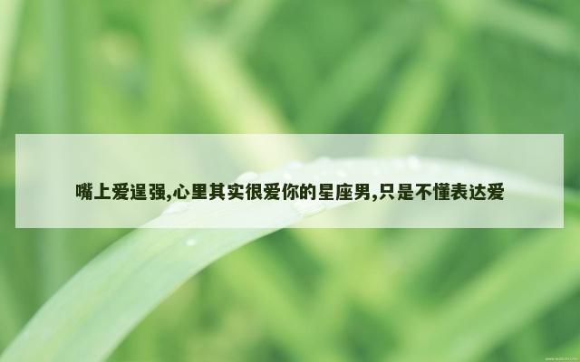 嘴上爱逞强,心里其实很爱你的星座男,只是不懂表达爱