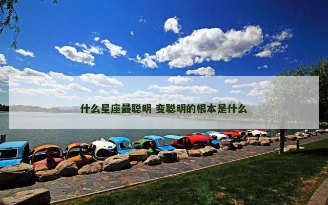 什么星座最聪明 变聪明的根本是什么