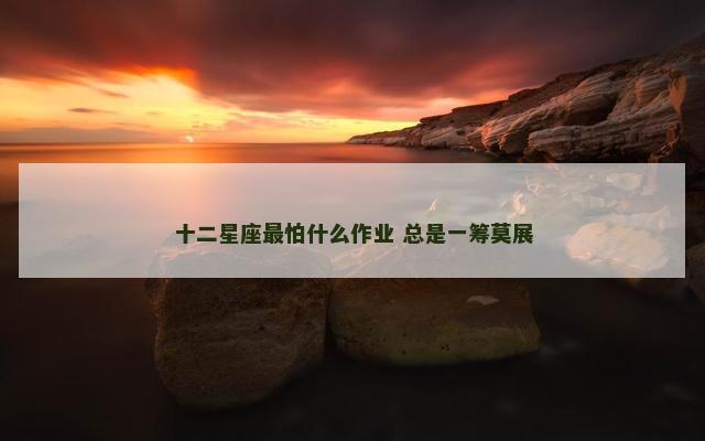 十二星座最怕什么作业 总是一筹莫展