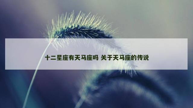 十二星座有天马座吗 关于天马座的传说