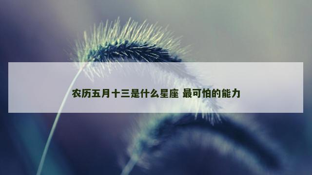 农历五月十三是什么星座 最可怕的能力