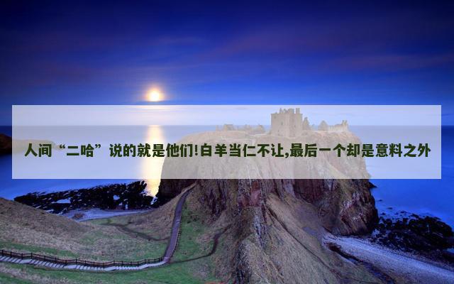 人间“二哈”说的就是他们!白羊当仁不让,最后一个却是意料之外
