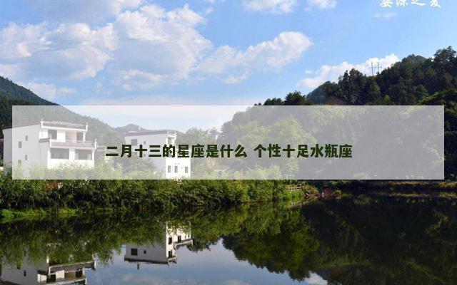 二月十三的星座是什么 个性十足水瓶座